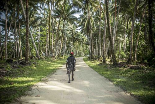 I Photographed Daily Life On The Solomon Islands