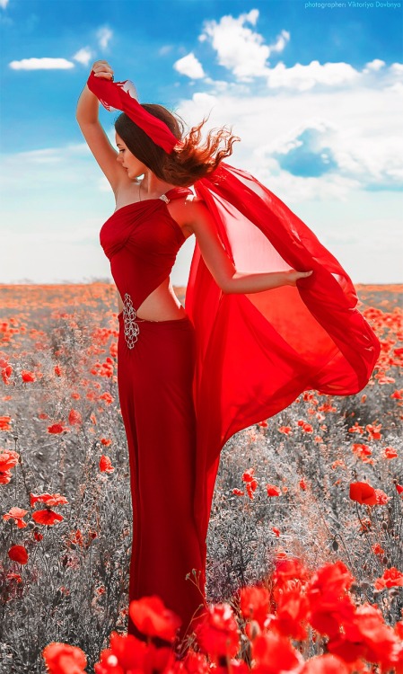 rideaux rouge