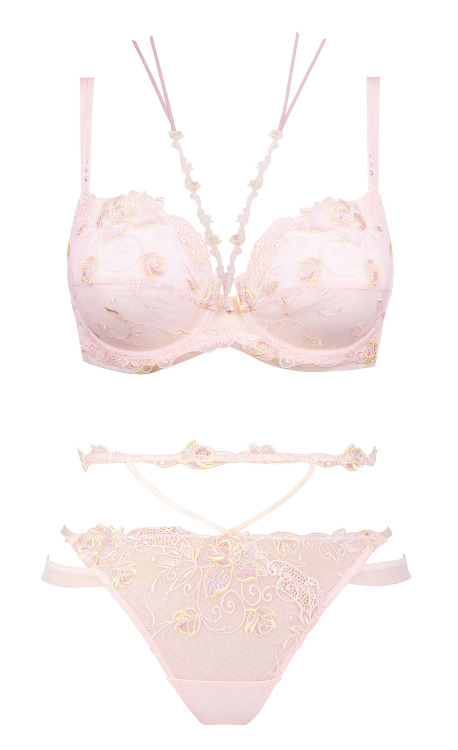 Rose de Venise by Lise Charmel / 32-38 B-DD + 32-42 D-E