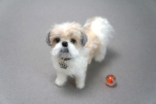  A needle felted Shih Tzu “Woodrow”.  Woodrow has crossed the rainbow bridge but dearly 