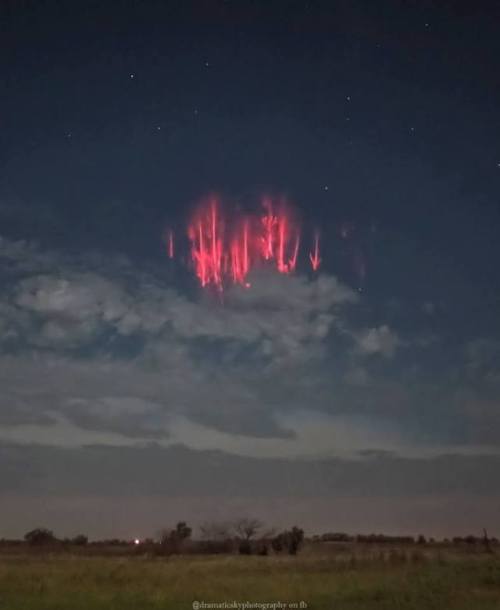 moreisnoteverenough-world: mountainvagabond:  Red  sprites are formed by the discharges of positive lightning between an  underlying thundercloud and the ground. This image, taken over Oklahoma,  by Paul Smith on October 6, is one of the best we’ve