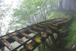 90377:  066-運材軌道-見晴懷古步道-霧景-太平山