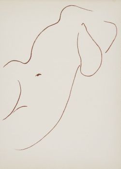  Henri Matisse - Florilège des amours de Ronsard Illustrations 