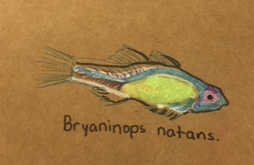 Fish Posting