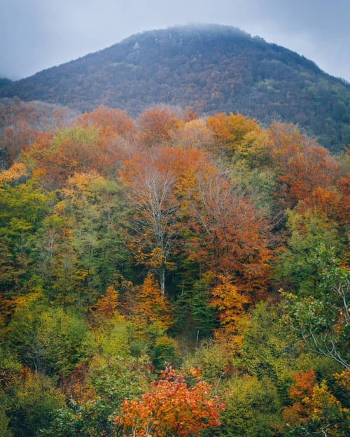 Autumn in Prestieri #lauria #basilicata #basilicatadascoprire #bellascoperta #mountains #montagna #f