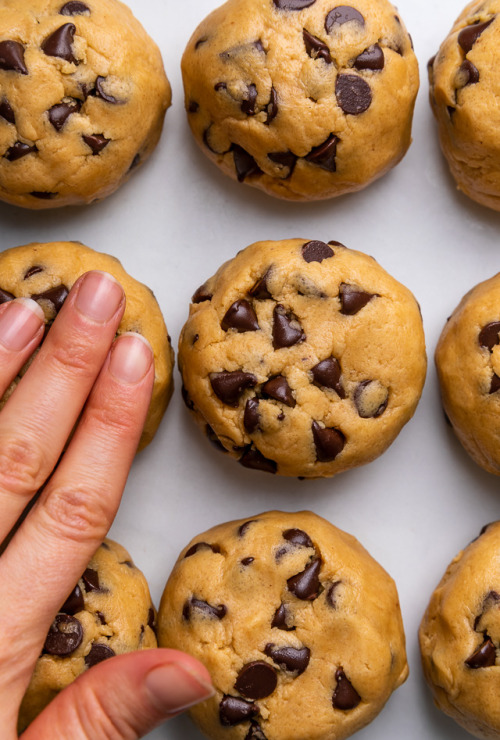 sweetoothgirl:    Bakery-Style Peanut Butter Chocolate Chip Cookies