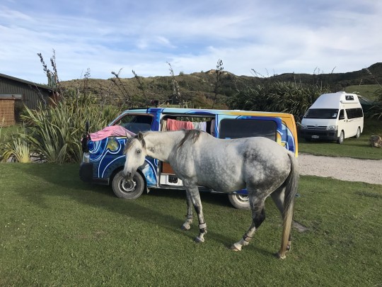 Wharakiri Beach Campground