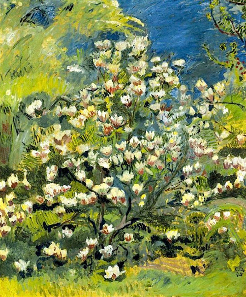 bofransson:Magnolia, 1945Cuno Amiet