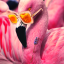 flamboyant-flamingo
