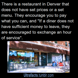 brightorangelovebuckets:  ultrafacts:  Source For more posts like this, CLICK HERE to follow Ultrafacts   There are 3 restaurant s like this in Melbourne, Australia. It is called “lentils as anything”, is vegetarian and has a pay as you feel policy.