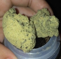 bluntrollerandsmoker:  dipped in hash oil covered in kief 😍😘👅 