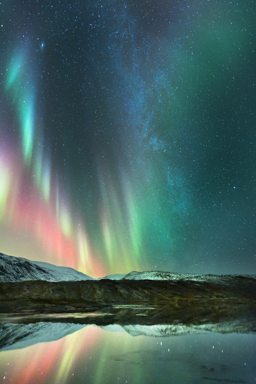 ruineshumaines:  Tommy Eliassen