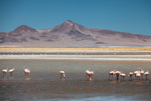 Aridity, Atacama Desert… Christian Kneise