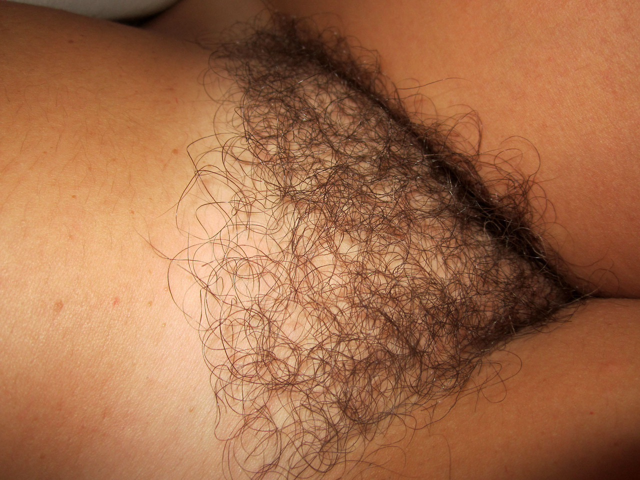 lovesithairy:  hairychicks:  Mature Hairy Pussy  bushy pussy