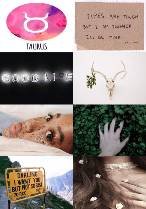 Taurus Aesthetic April 20 to May 21 