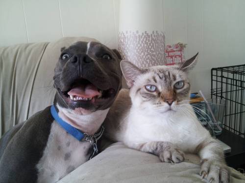 catasters:  “I have no reason to smile at the moment…” Photo via Imgur