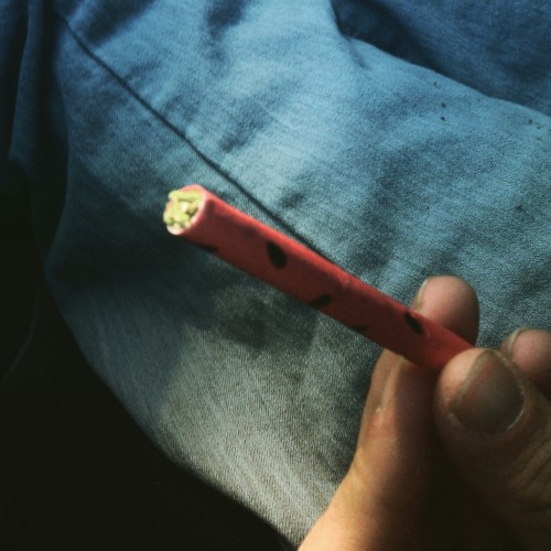 baked-pamplemousse:  Rollin the road joint. porn pictures