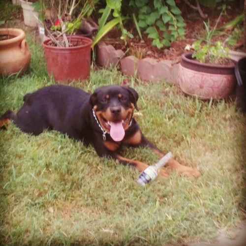 My partner in crime lol