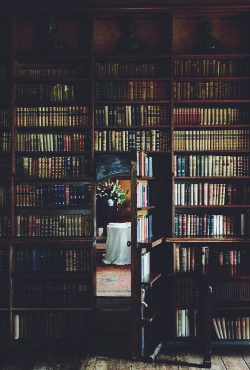 mosouka:  Library | via Tumblr on We Heart It - http://weheartit.com/s/QC8VfLjP 