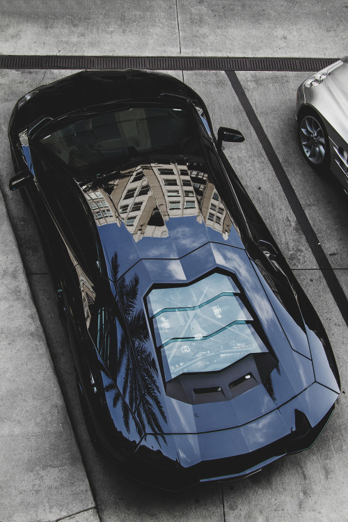 envyavenue:  Lamborghini Aventador