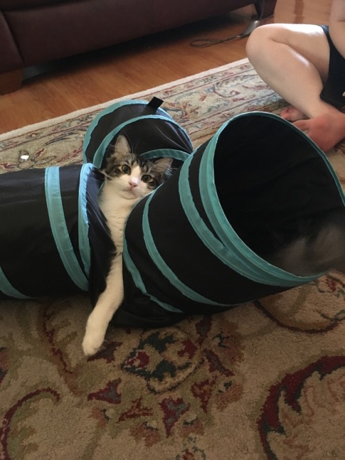felix-mycat:He got stuck