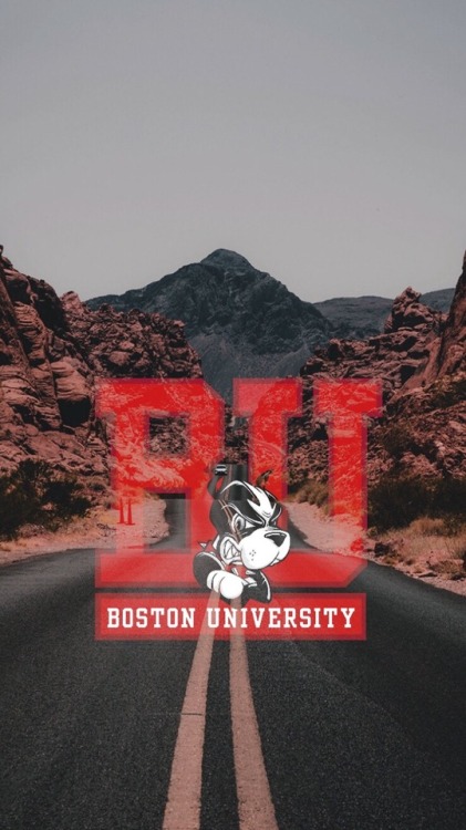 Boston University Terriers /requested by anonymous/