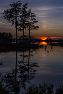 tinnacriss:   	Sunset at Seney Wildlife Refuge