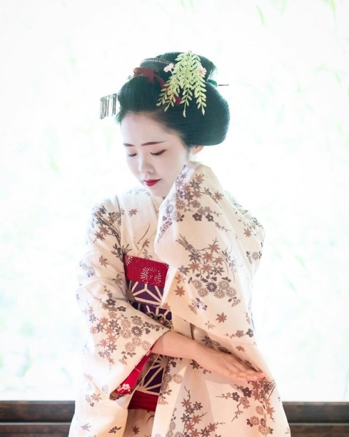 June 2017: maiko Umechie dancing at the teahouse by  balbo42 on InstagramNew blog is up! V