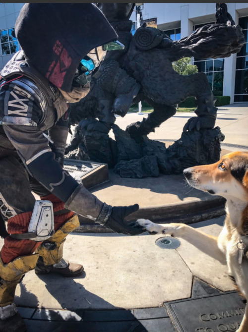 sixofcaydes:  If the union between Bungie and Blizzard blessed us with anything it was these beautiful photos.Sources: 1/2/3/4/  This is still the best Xd