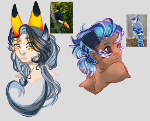 Some Dragonshifters Based On Birds- Big Guy (Gale) Is Based On A Leucistic Falcon. The Other Two Are