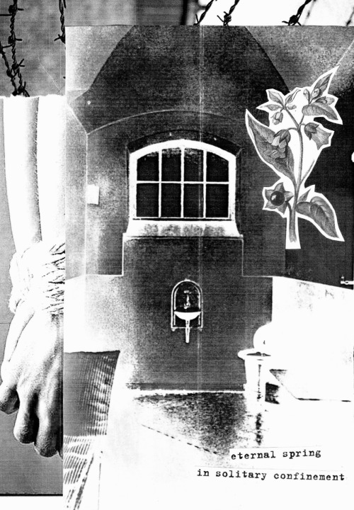 vnutrennosti:  tribute to Egor Letov paper/collage  a4