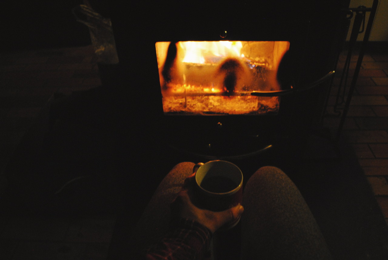 eartheld:  trianglesaremyfav:  Weekend spent in a cabin.   mostly nature 