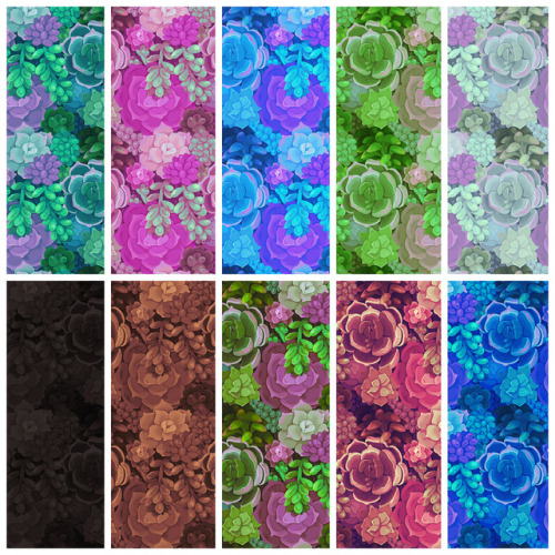 mayakern:❖ succulent pattern pack ❖i’ve put a bunch of new pattern packs in my store! download 10+ c