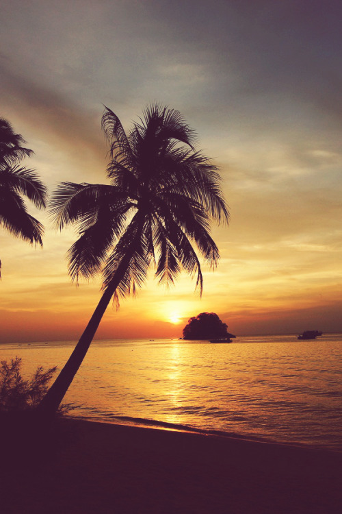 alecsgrg:  Sunset at Tioman Beach