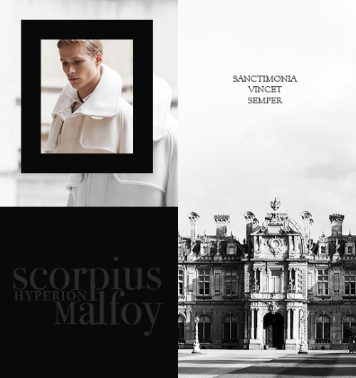 nearlyheadlessfinnick:HP Next Generation Au’s: Scorpius Malfoy (from In Vino Veritas)