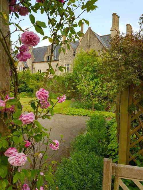 fruityandbelle:The Physic Garden, Cowbridge, South Wales