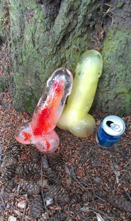 waytoomuchportland:  Someone’s leaving ice dicks around a park in Portland.  Update: The ice dicks have toy prizes inside of them.  