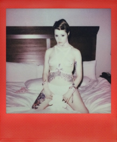 gothneko:  sidneymanuel