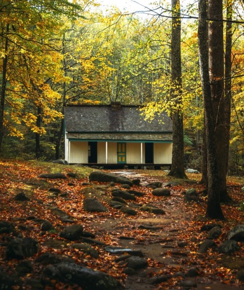 The secret fate of all life. Great Smoky Mountain National Park...