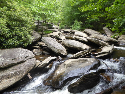 Applachia Blue Ridge Parkway - mountain stream