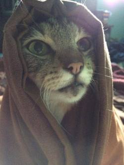 noctureon:  Khajit has wares if you have coin. 