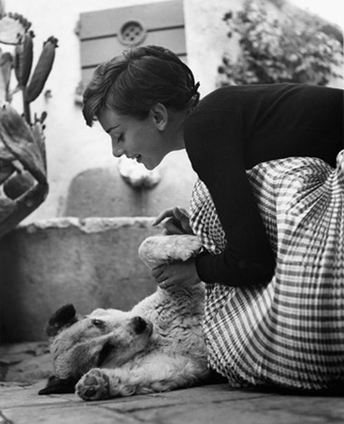maudelynn:  Audrey and a friend :)  via www.sofeminine.co.uk