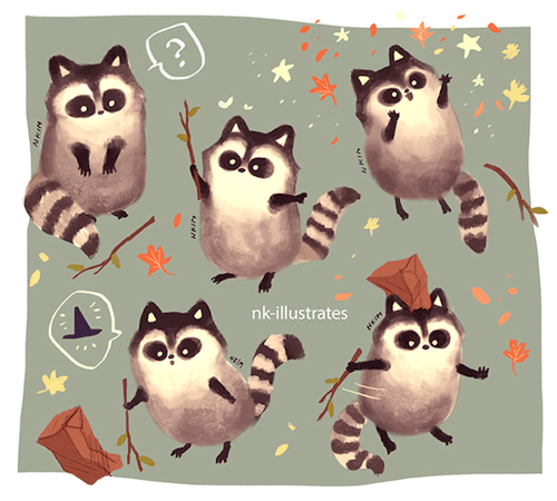 nkim-doodles:Raccoon.