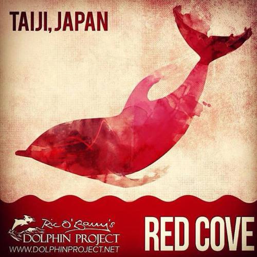 Sad day in #Taiji &hellip; The rest of the #pilotwhales are being slaughtered probably because they 