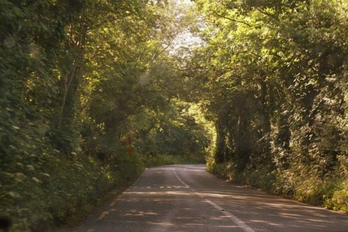 This one was taken last Summer. The drive back home, or somewhere else, after climbing Montpelier Hi