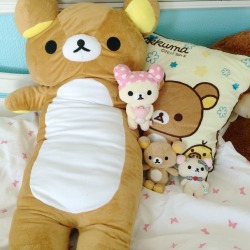 petitepasserine:my mom discovered the rilakkuma