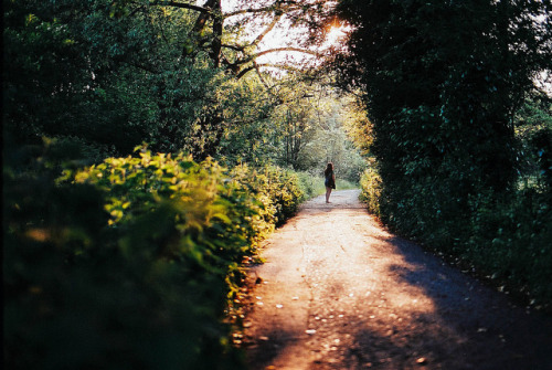 ingelnook:Canterbury by Nicola Abraham on Flickr.