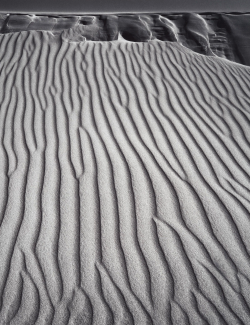 onlyoldphotography:  Ansel Adams: San Dunes,