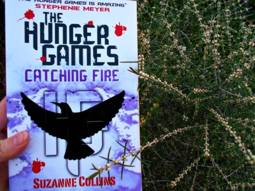 storytime-reviews