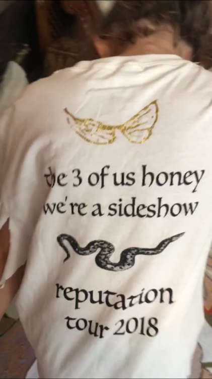 catsfoxesntswift13: Me and Abby FINALLY finished our Reputation tour shirts and posters!!!!! Literal